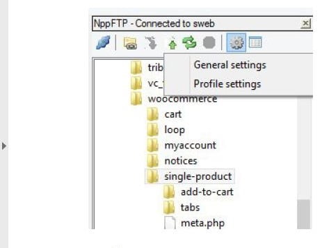 Настройки ftp соединения Profile settings