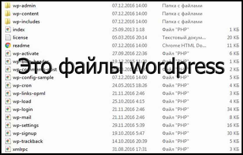 установка-wordpress